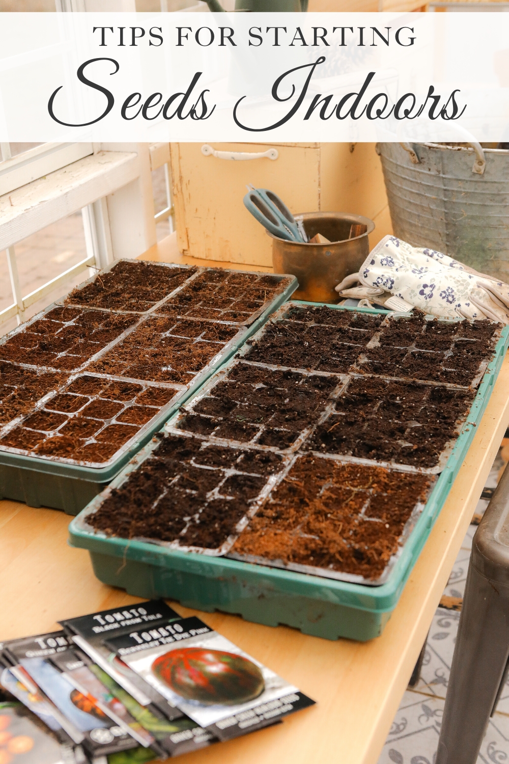 Tips For Starting Seeds Indoors Sugar Maple Farmhouse