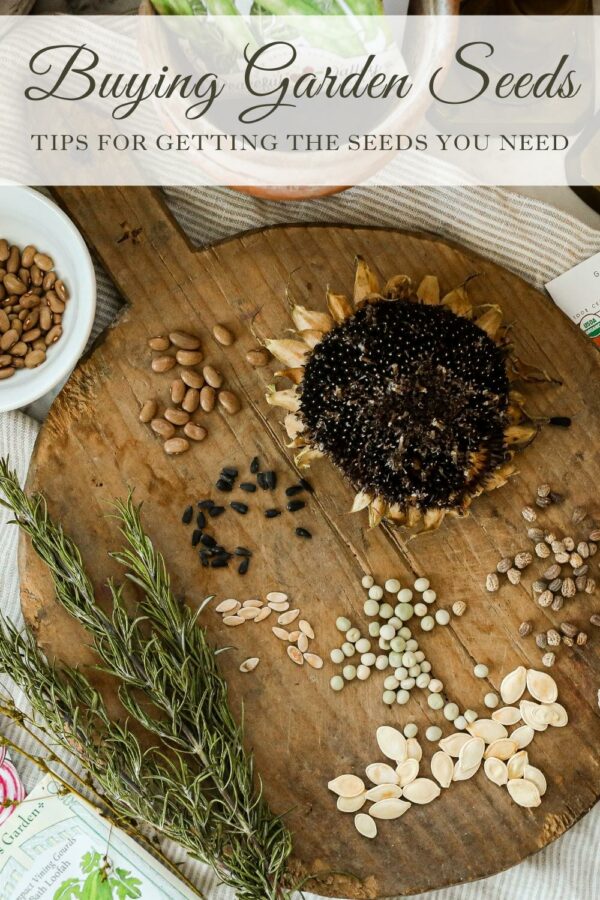 Tips for buying seeds online Sugar Maple Farmhouse