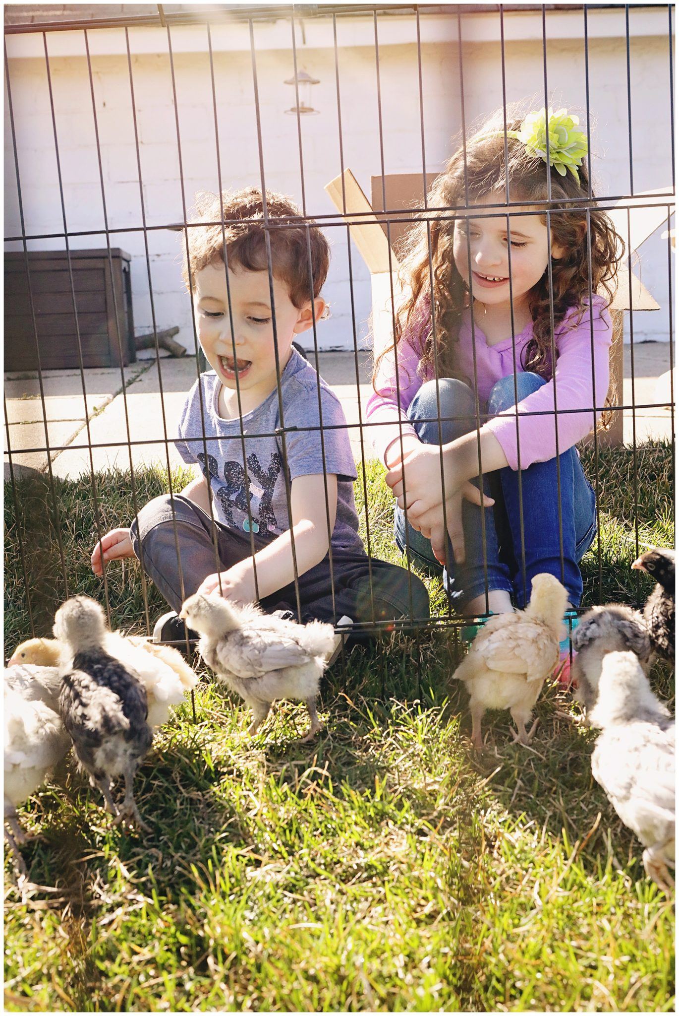Raising Farm Kids and Chickens