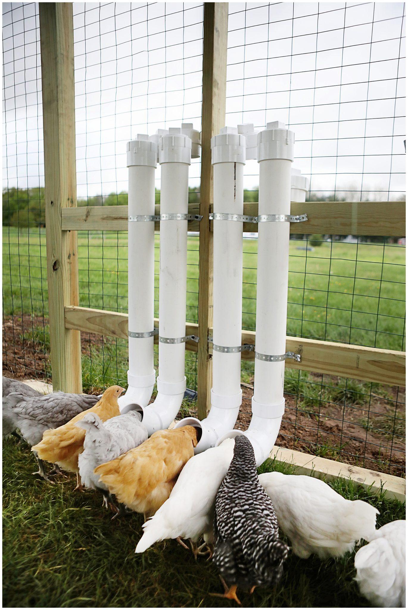 PVC DIY Chicken Feeders