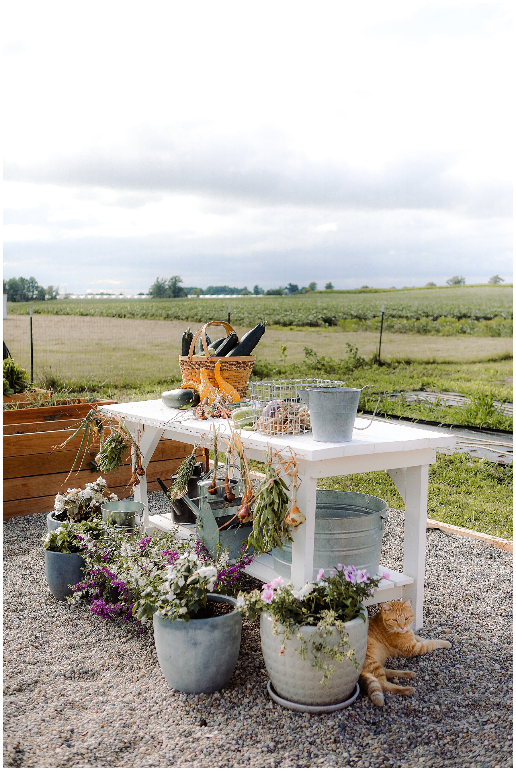 Creating and outdoor potting bench