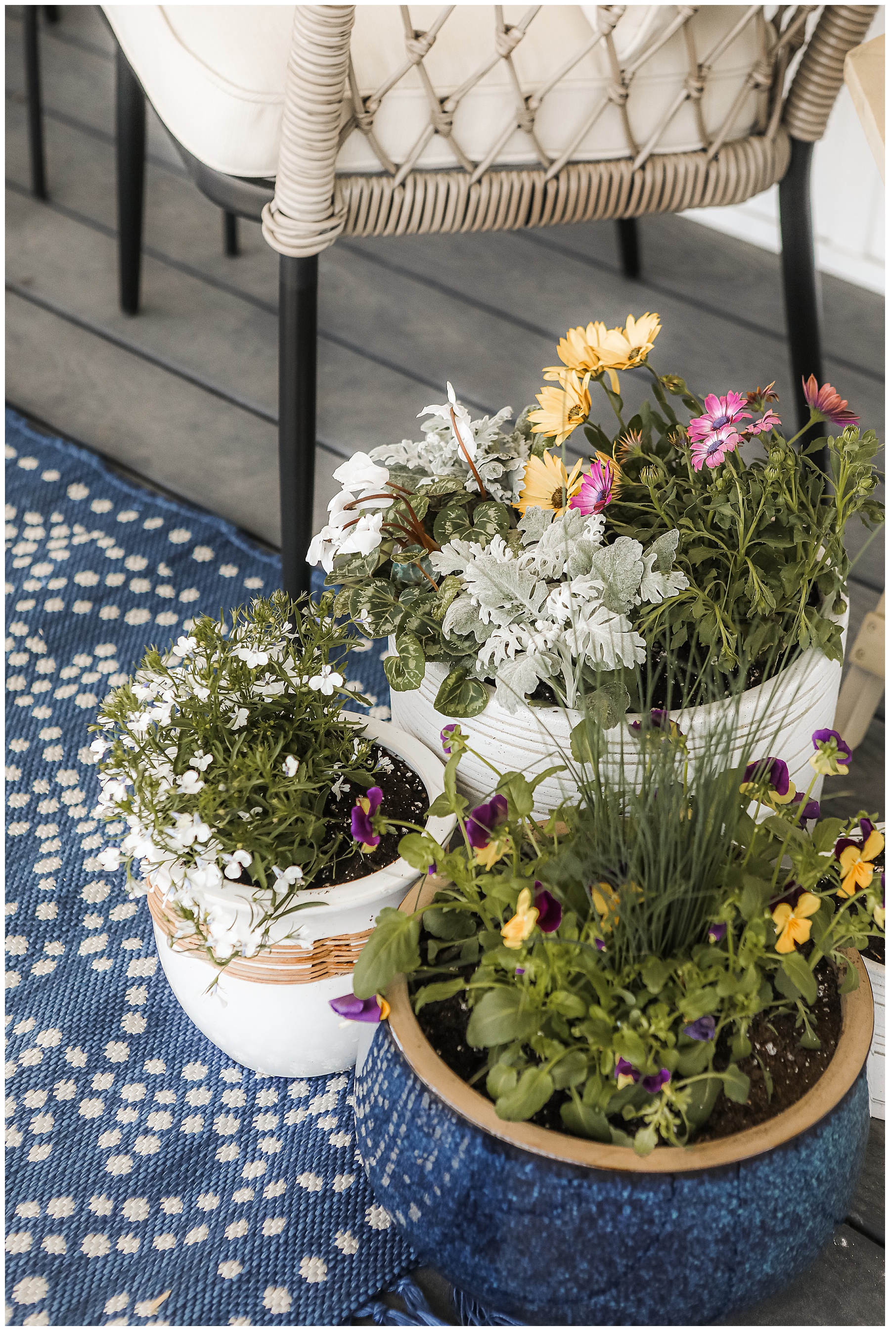 tips for planting flowers in pots