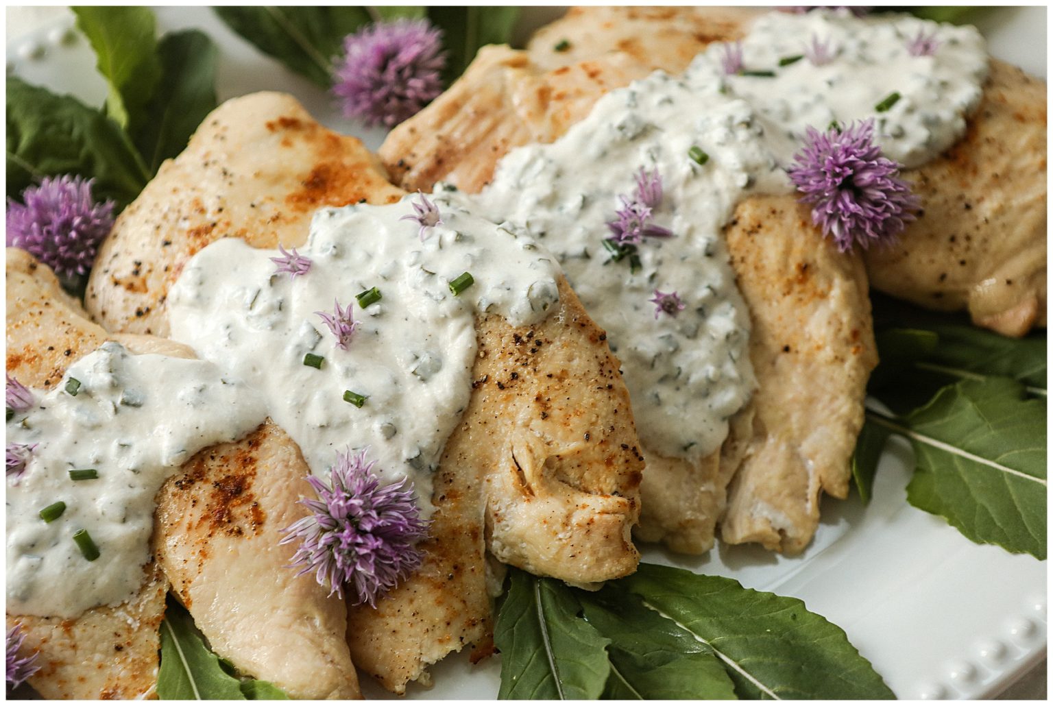 Creamy Sour Cream & Chive Chicken Sugar Maple Farmhouse