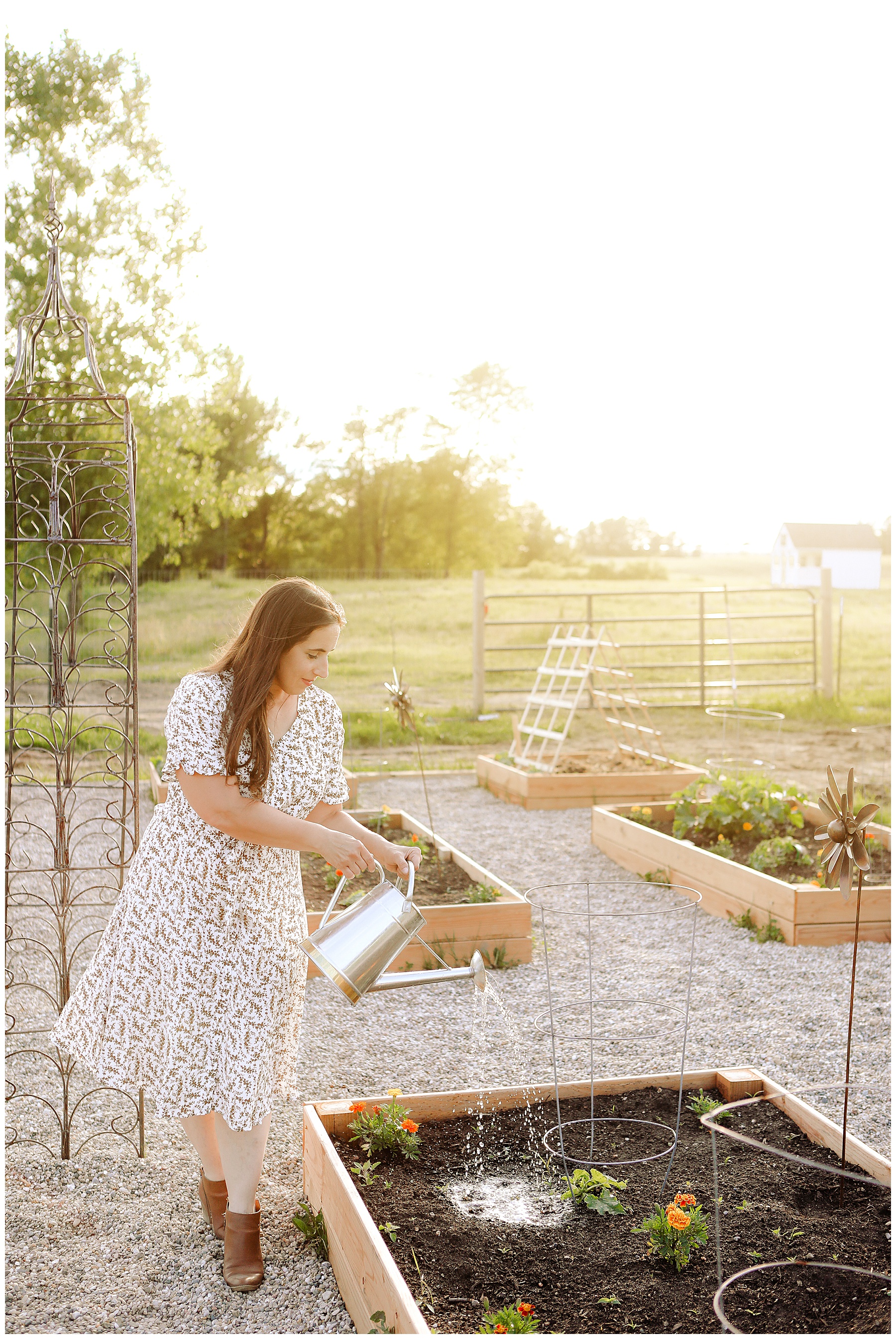 Tips for growing food organically