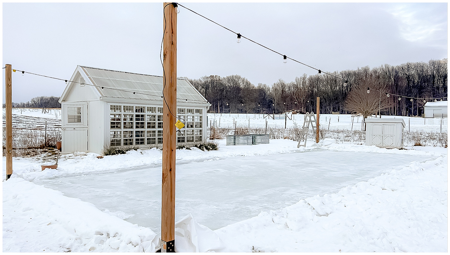 Backyard ice skating rink