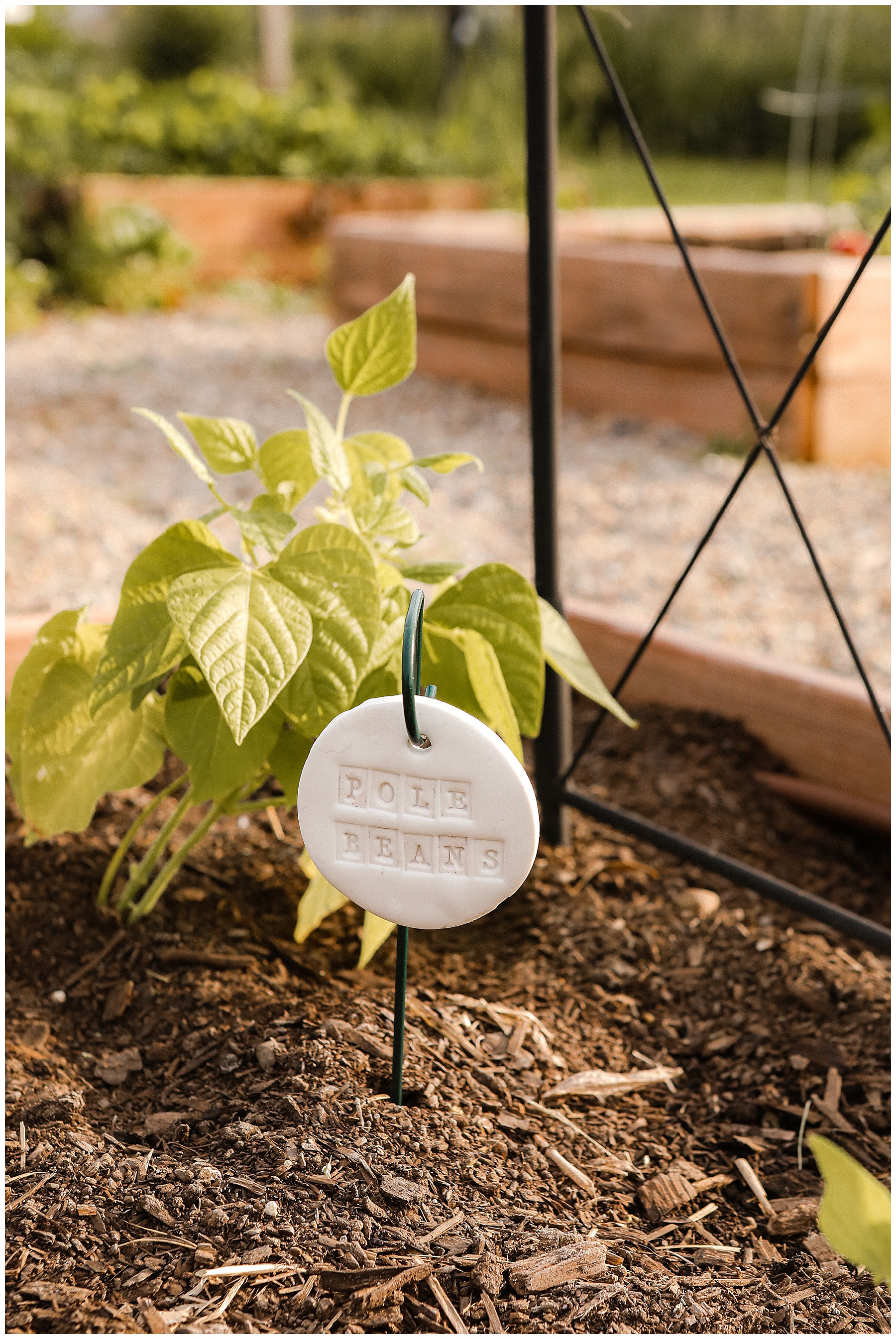 Plant markers for garden beds