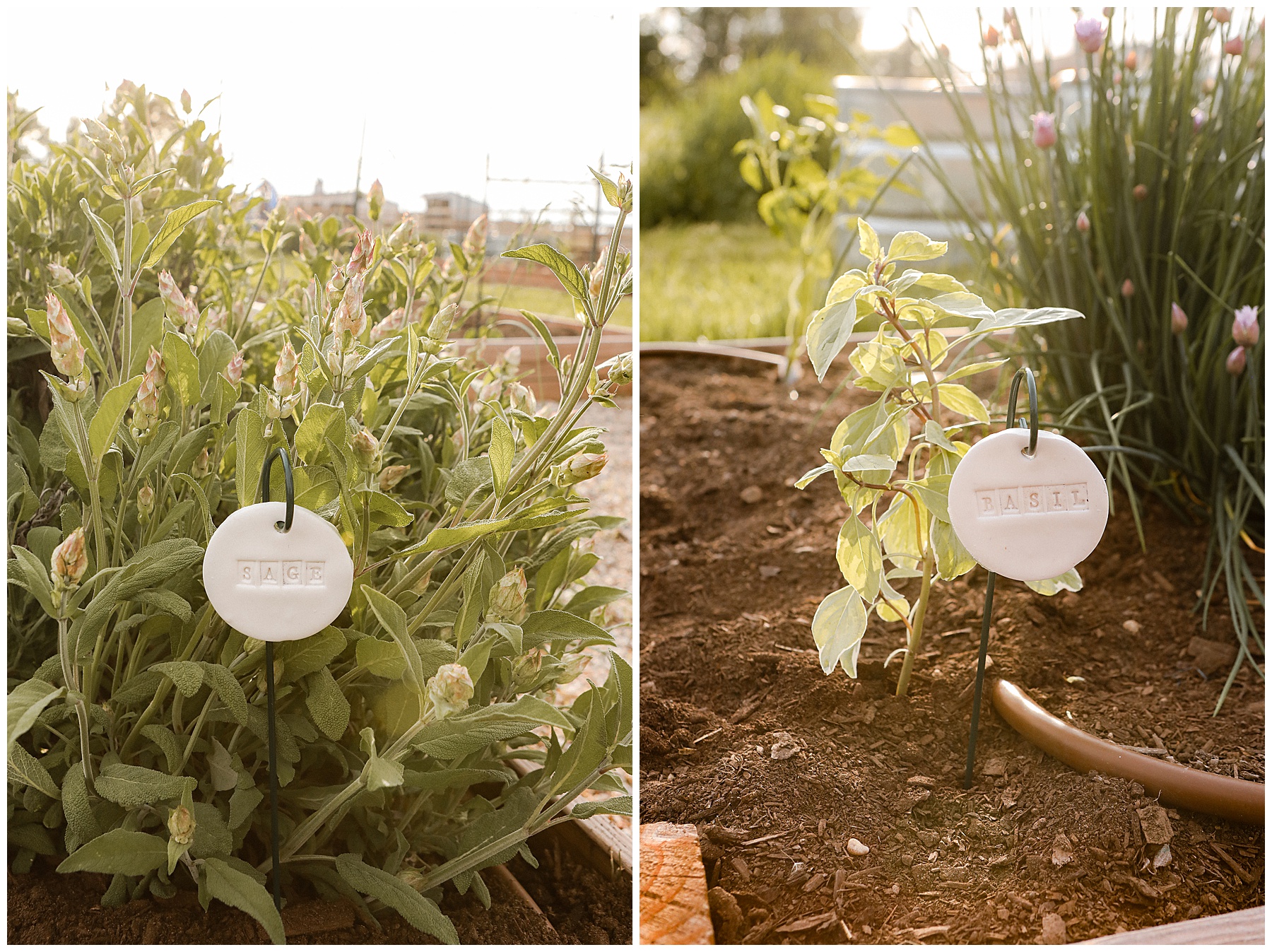 DIY plant markers