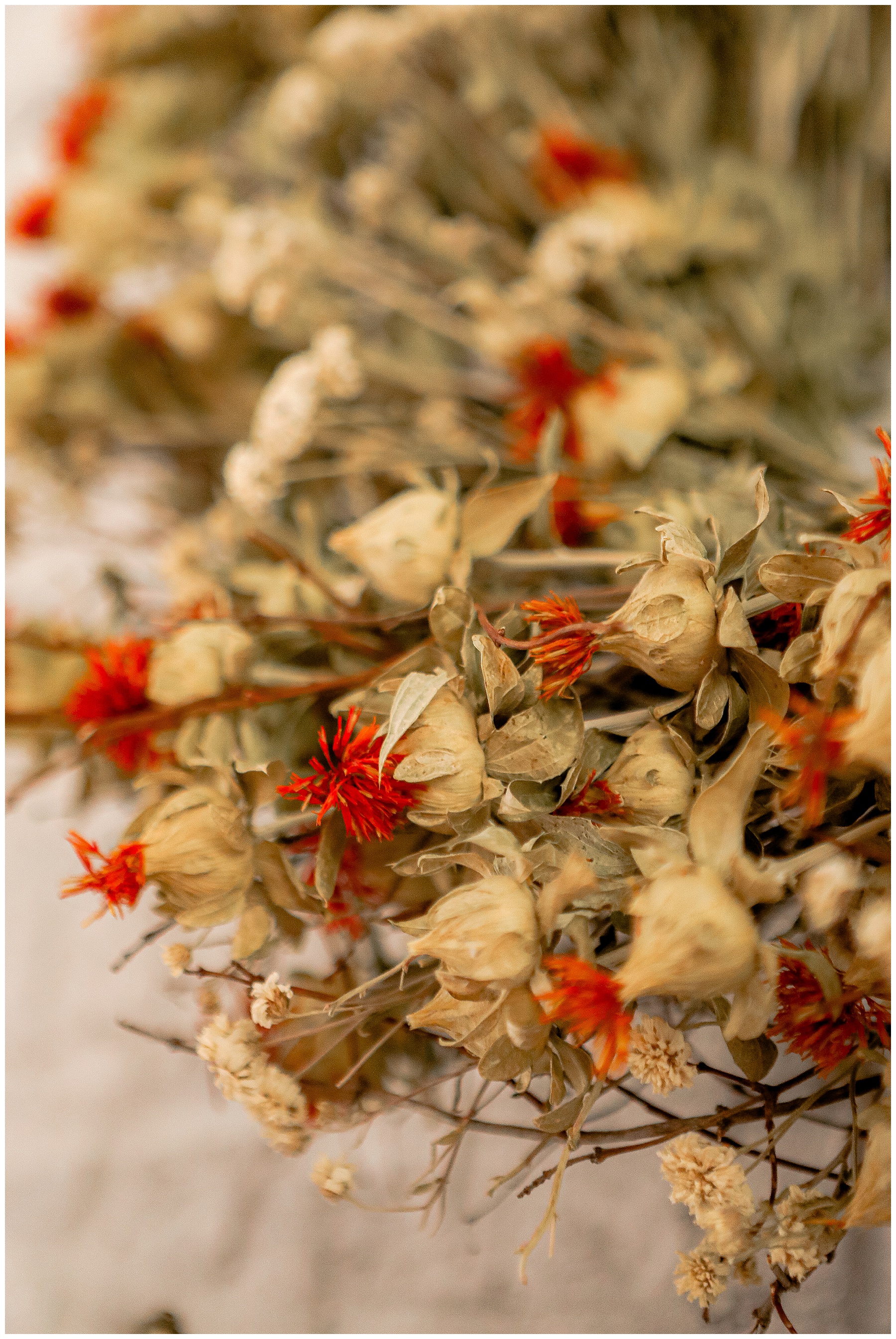 Dried Flowers for fall