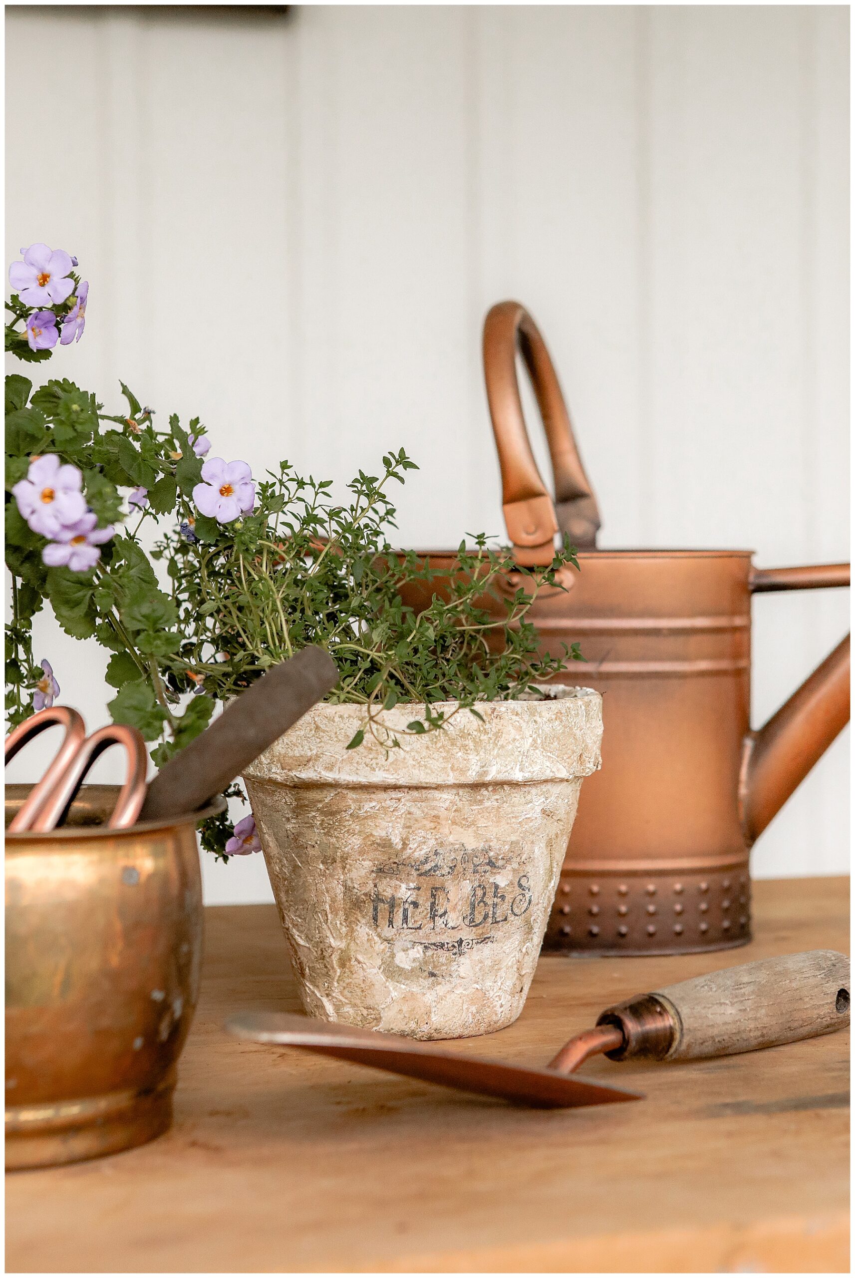 French Vintage Pots