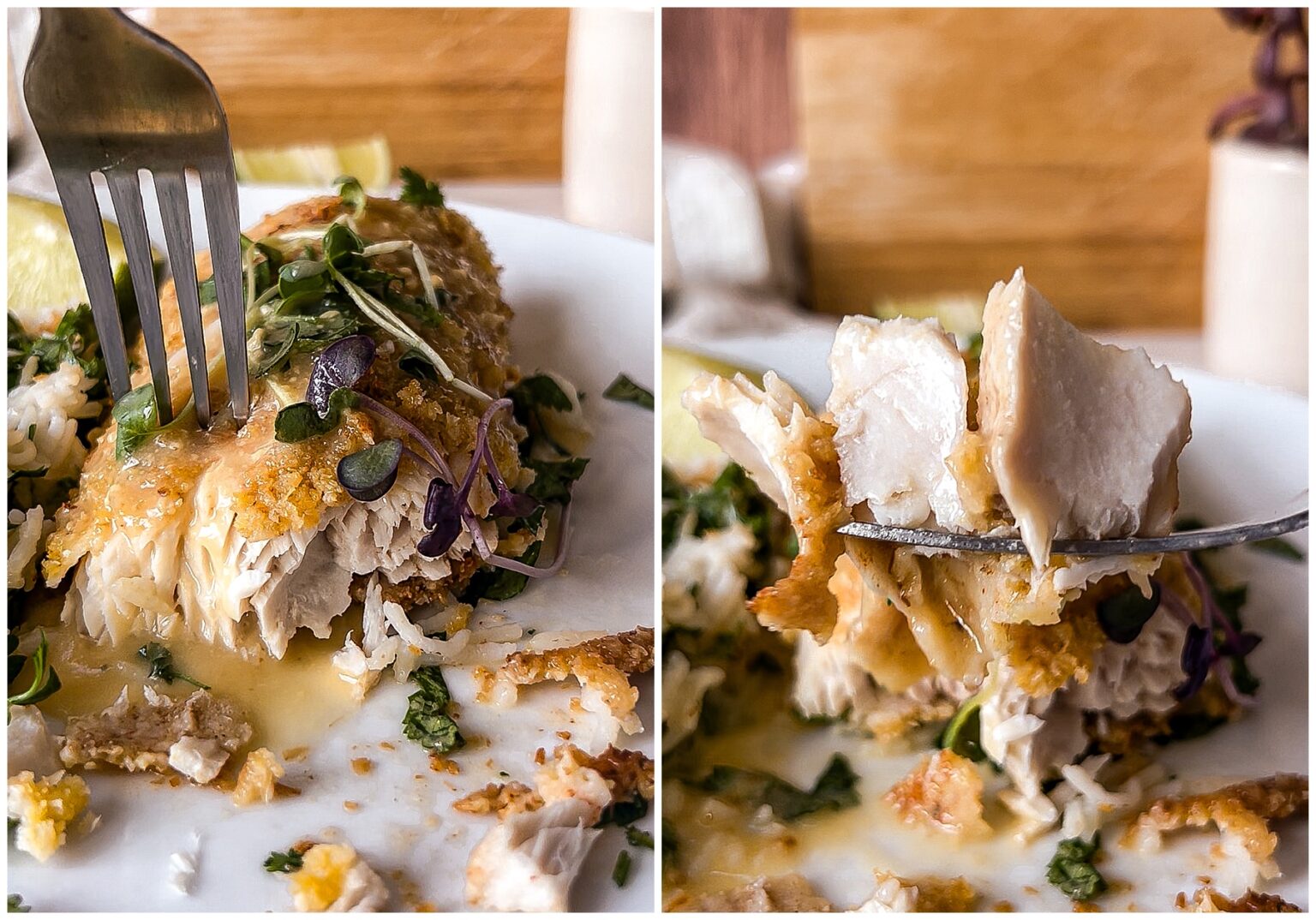 Coconut Crusted Mahi Mahi recipe Sugar Maple Farmhouse