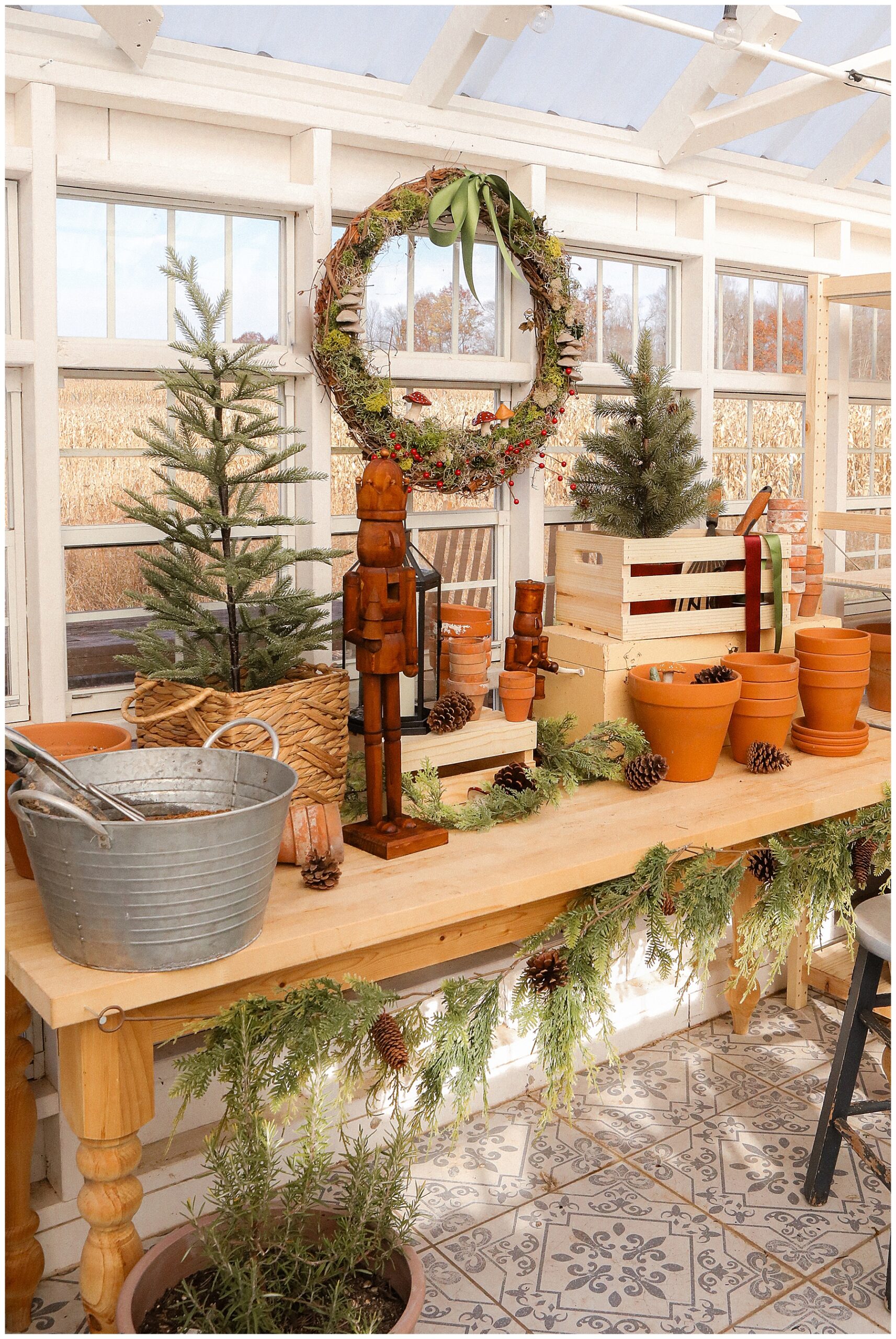 Christmas in the greenhouse