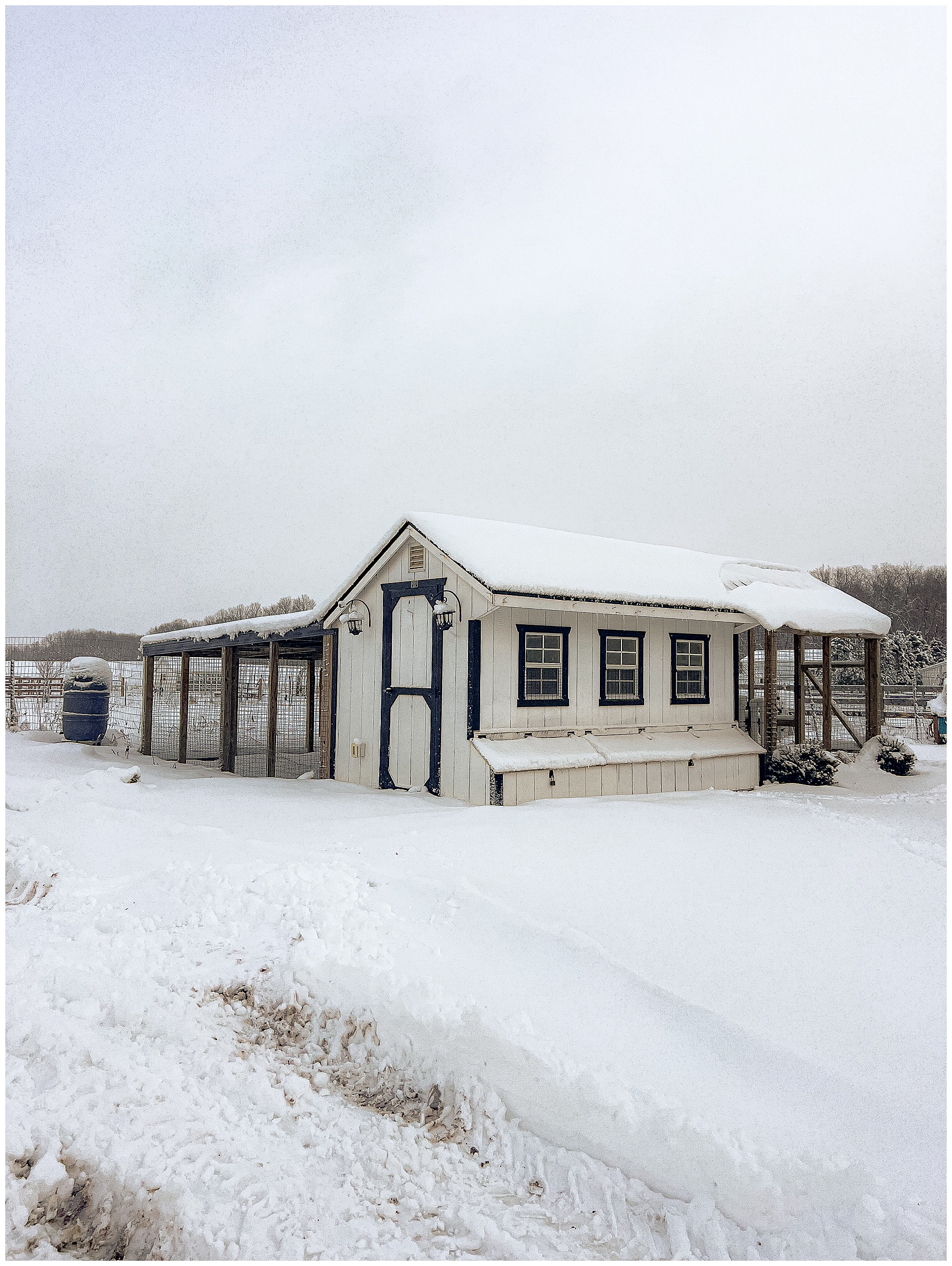 Chicken Coop Deep Litter Method Sugar Maple Farmhouse