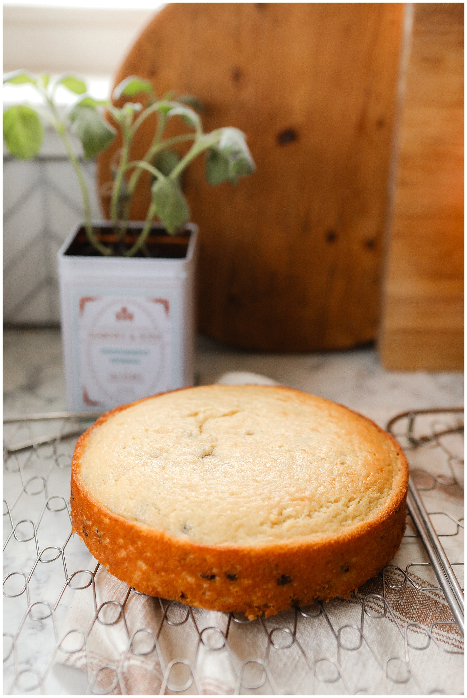 A cake cooling - Sugar Maple Farmhouse