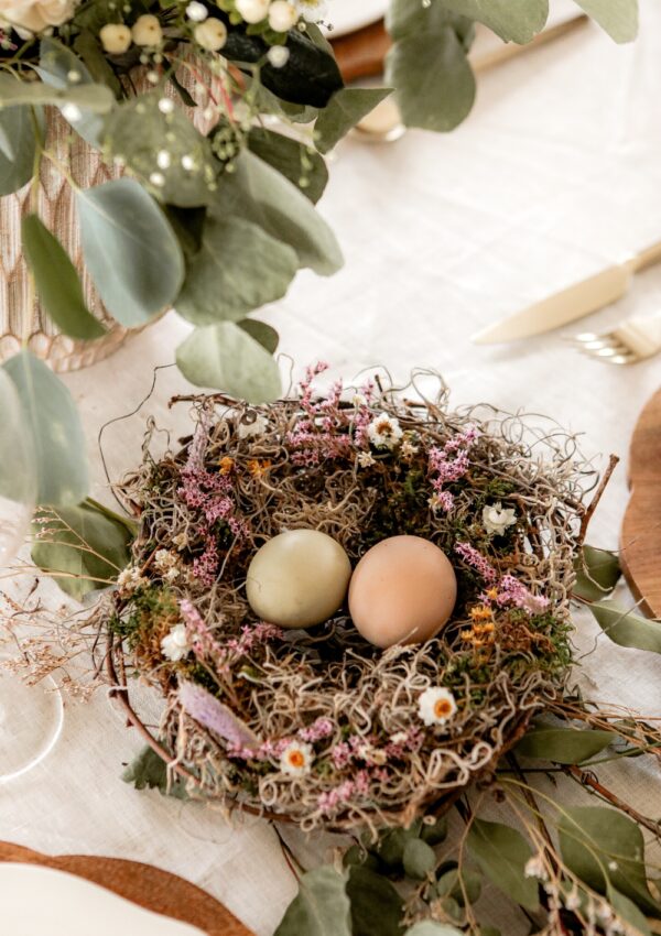 DIY Bird Nests for decoration