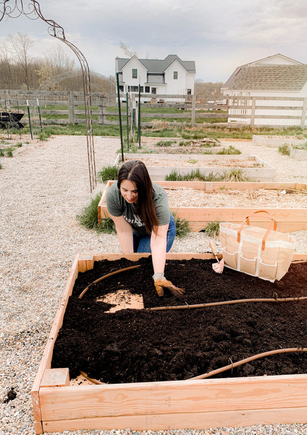 How to kill weeds naturally (and grass too!) in garden beds