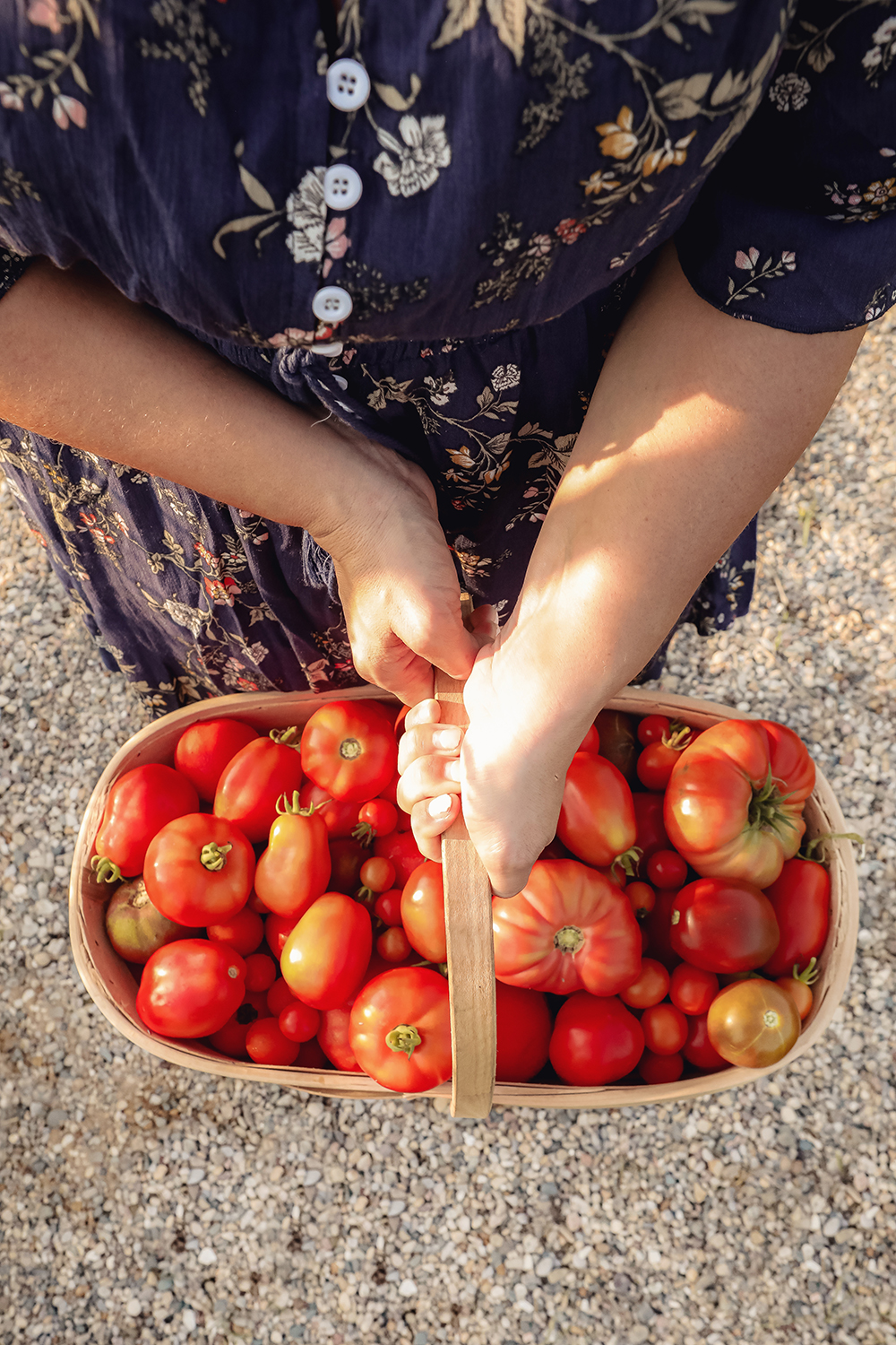 tips for growing tomatoes from seeds