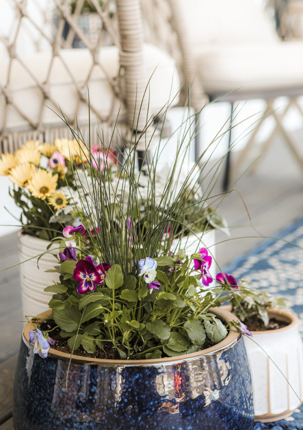 Tips for planting flowers in pots