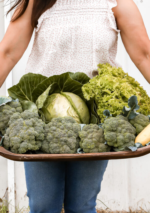 16 Early Spring Vegetables to Grow in the Garden