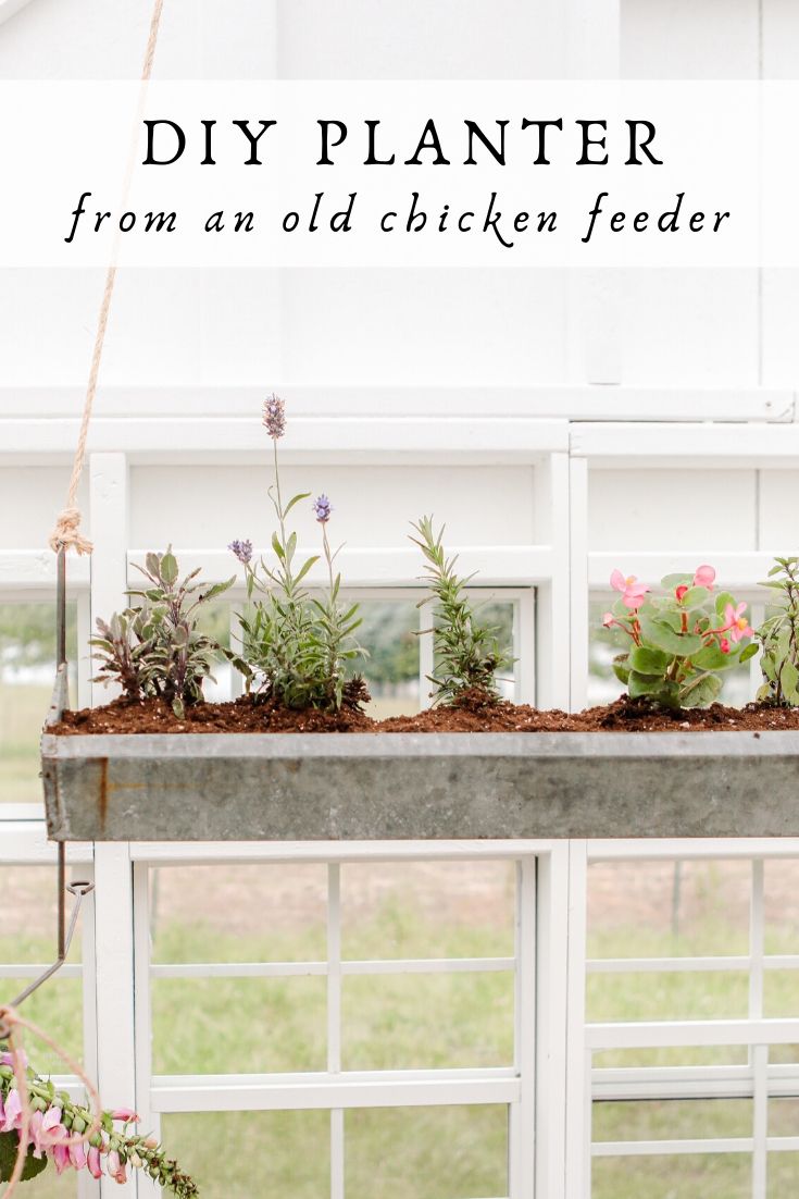 DIY planter from a chicken feeder