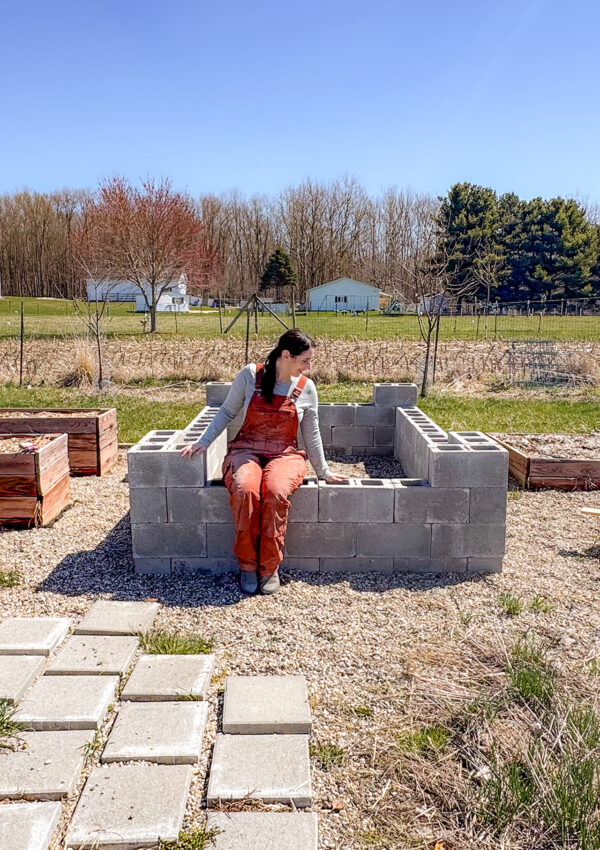 Sugar Maple Monthly Updates –  Planting & Concrete Garden Bed