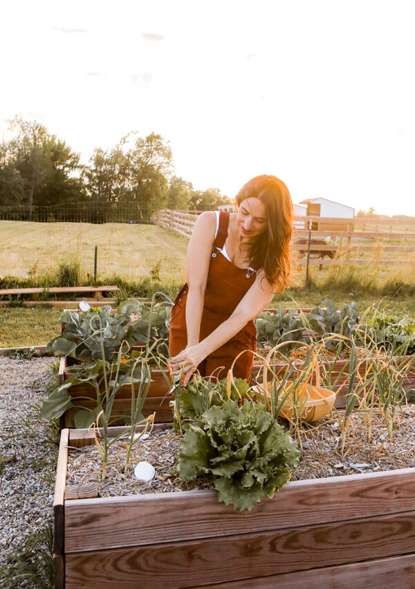 What is permaculture?