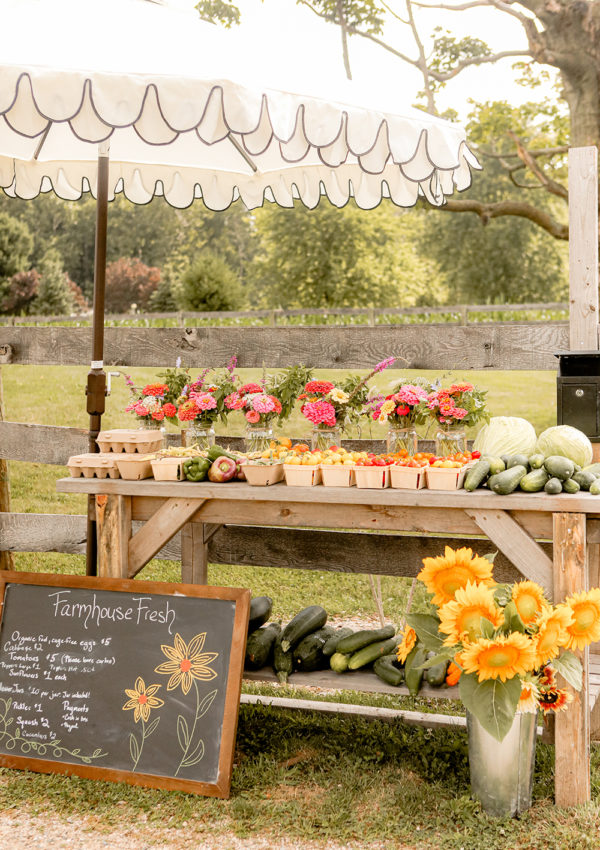 Our roadside farm stand set up