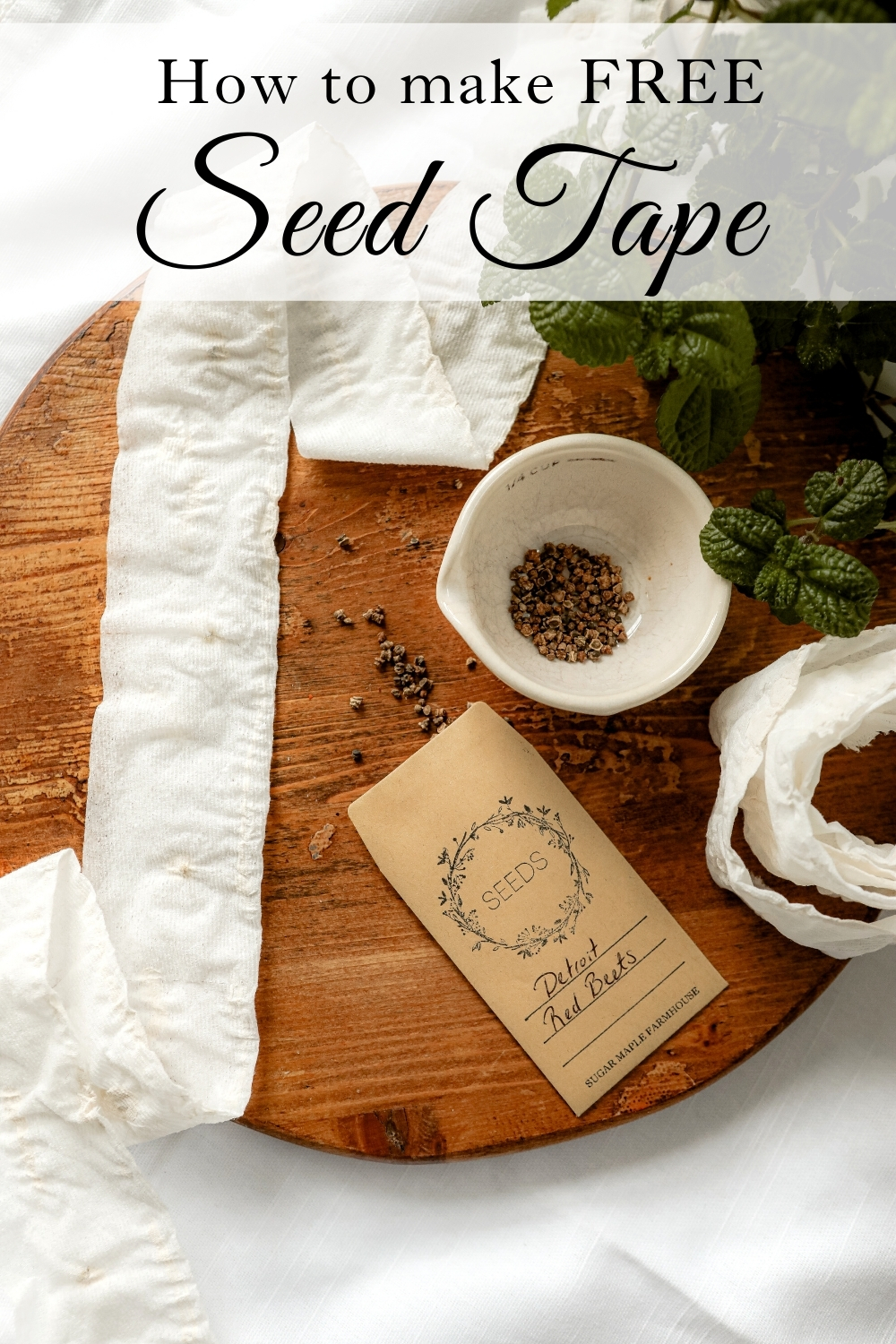 Seed Tape DIY from toilet paper