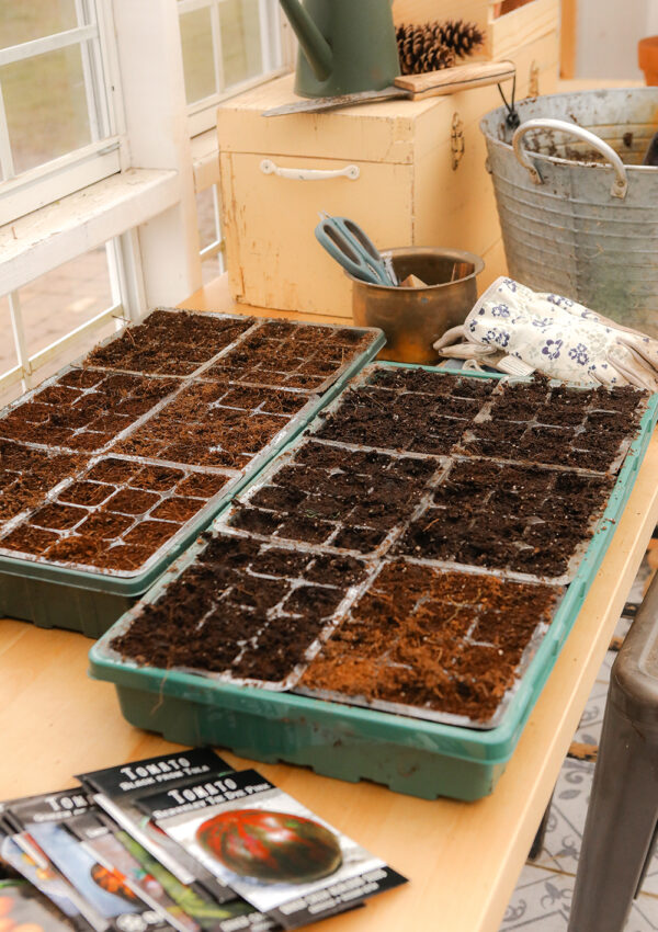 Tips for Starting Seeds Indoors