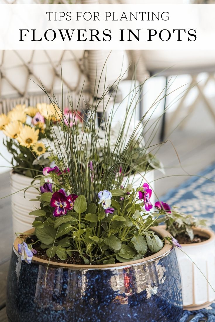 Tips for planting flowers in pots