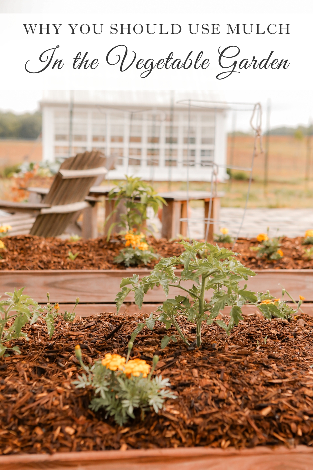 Using Mulch in the Vegetable Garden Beds